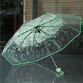 Transparent Cherry Blossom Folding Umbrella – UV & Rain