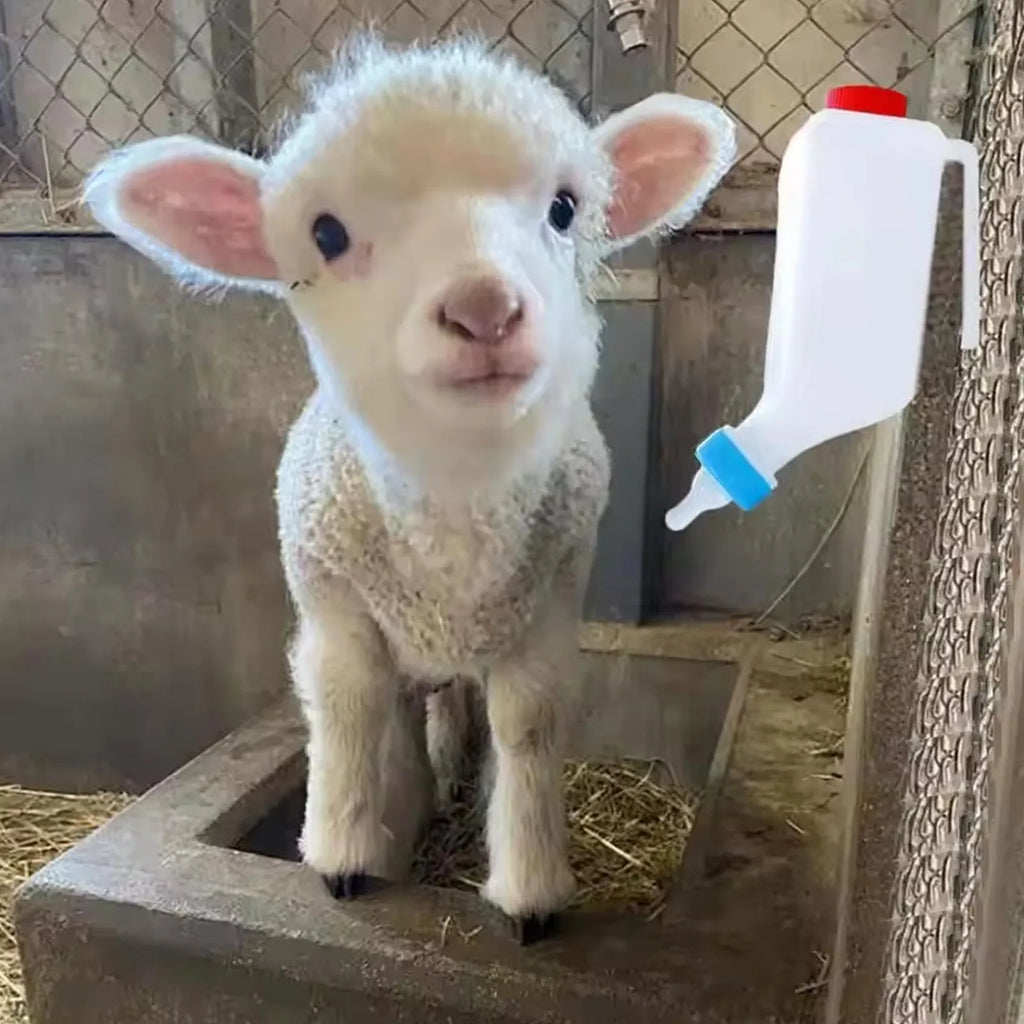 800ml Hanging Lamb Feeding Bottle with Scale & Soft Nipple – 2 Pack