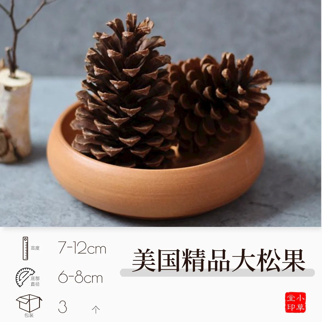 Dried Flowers, Fruits & Pine Cones DIY Natural Décor Kit