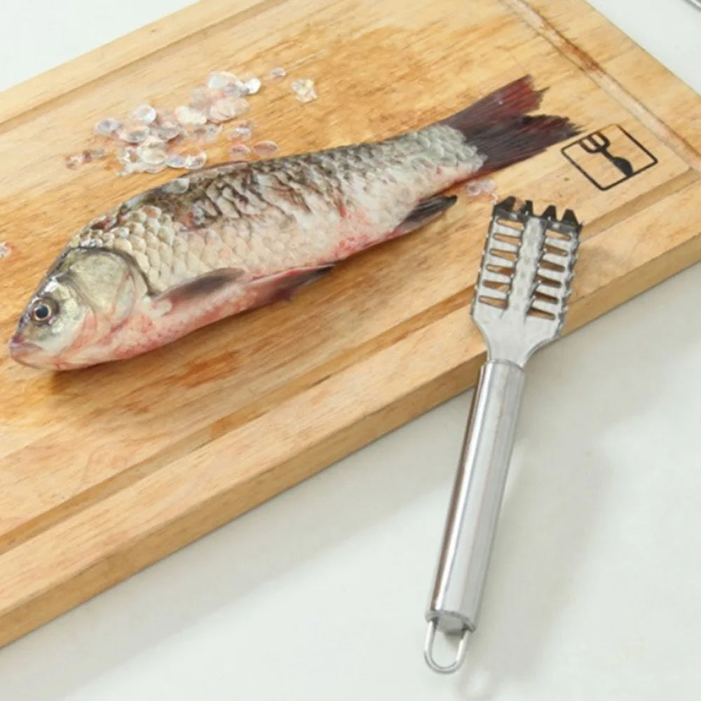 Stainless Steel Fish Descaler – Handheld Scale Remover Tool