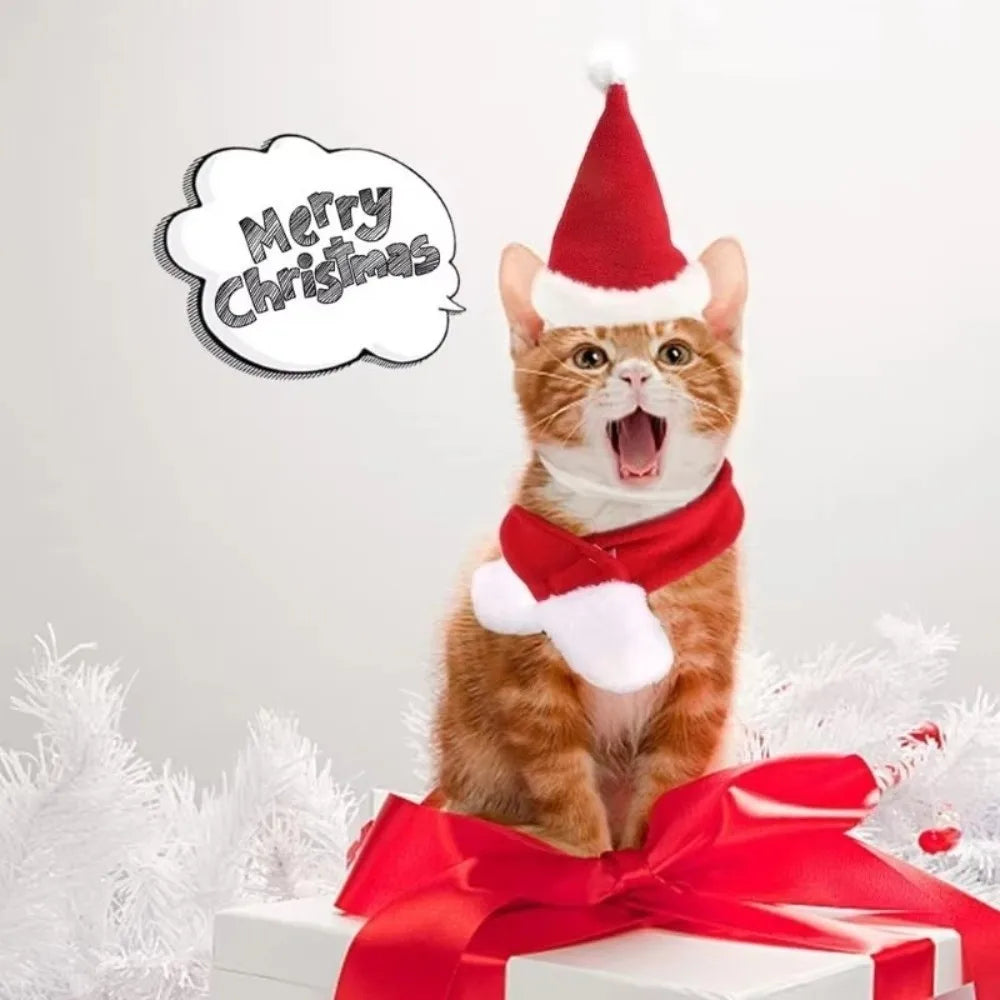 Christmas Dog & Cat Scarf Hat Set – 2 Pcs for Small Pets