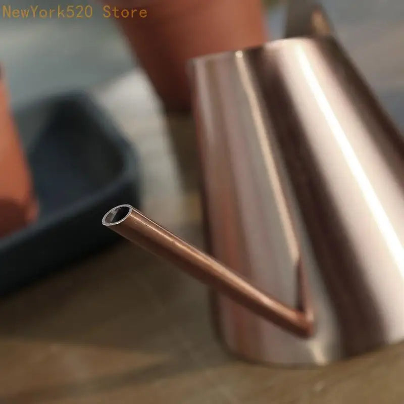 Stainless Steel Long Spout Watering Can 400–1500ml
