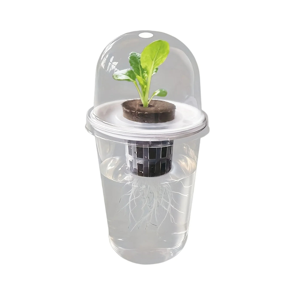Clear Hydroponic Seed Germination Cup – Transparent Starter Pot