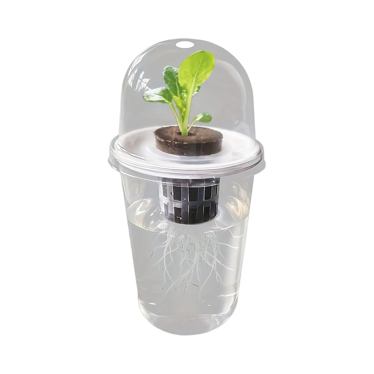 Clear Hydroponic Seed Germination Cup – Transparent Starter Pot