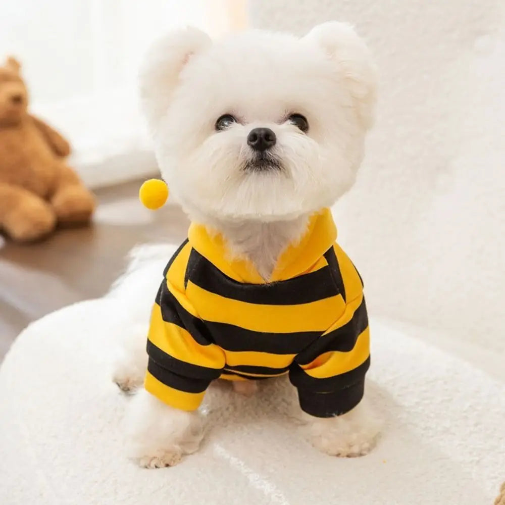 Pet Bee Costume Hoodie – Warm Stripes Cat & Dog Clothes