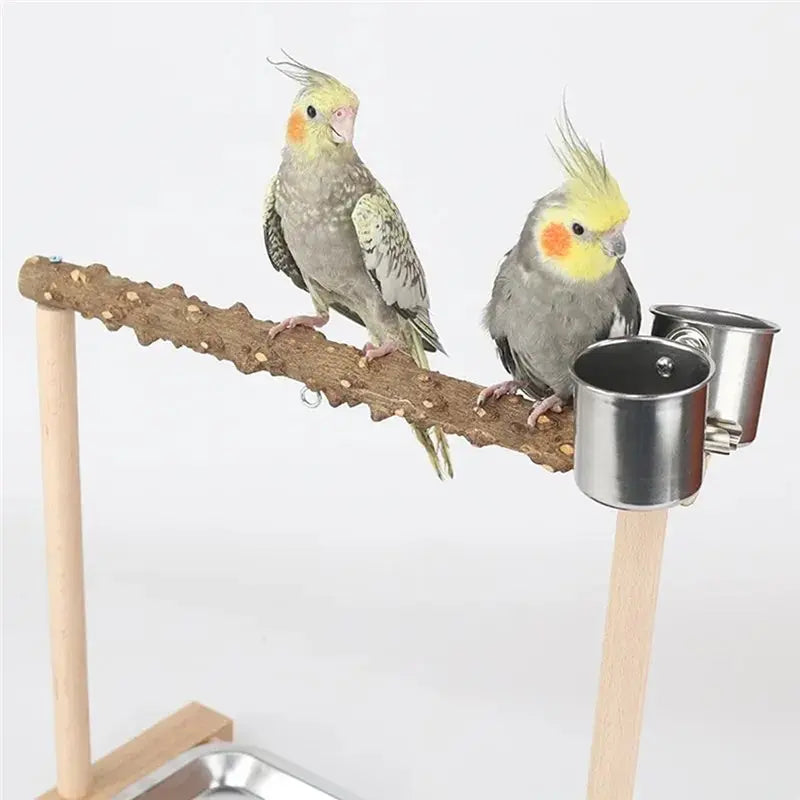 Parrot Bird Playground Stand – Swing, Ladder & Puzzle Rack