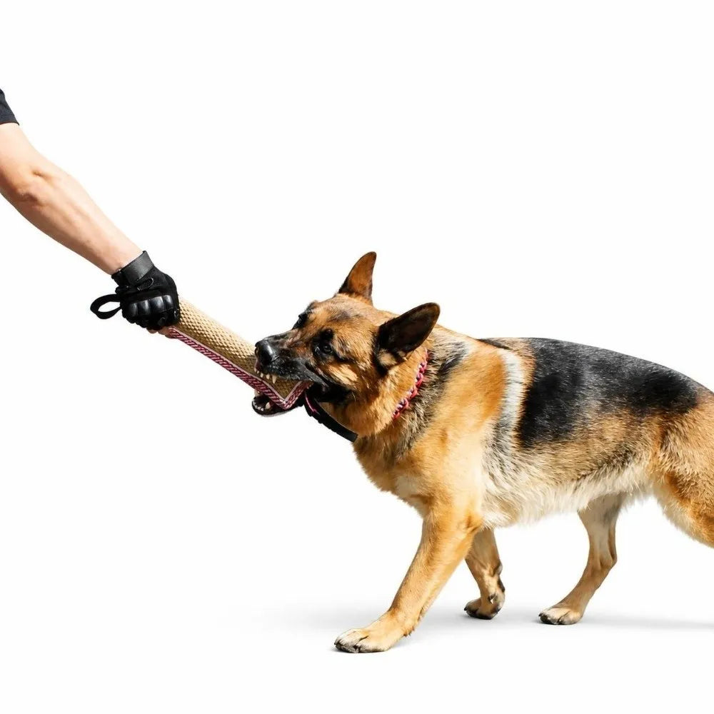 Hemp Dog Tug Toy – Tear-Resistant Chew & Training Toy