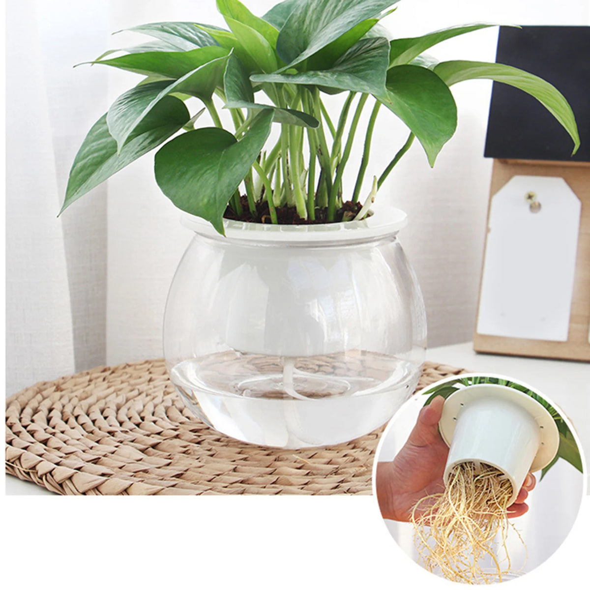 Mini Transparent Self-Watering Succulent Planter Pot