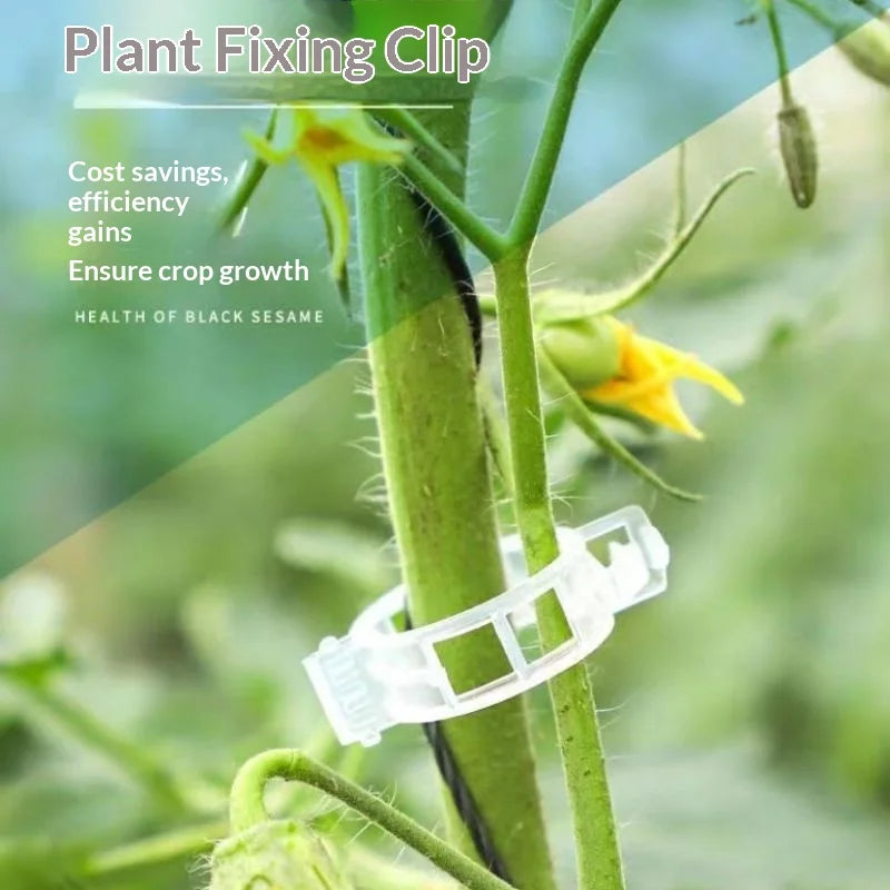 Reusable Plant Support Clips for Tomato & Climbing Vines