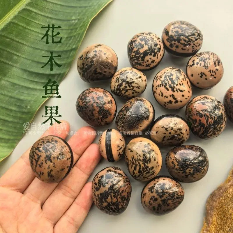 Natural Seed Buddha Bead Bracelet Handmade DIY Material Pack