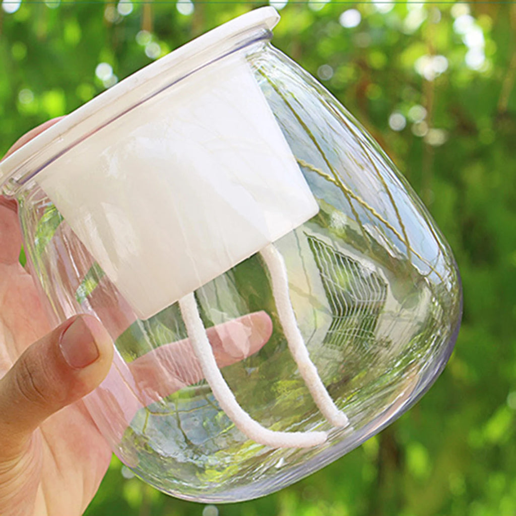 Mini Transparent Self-Watering Succulent Planter Pot