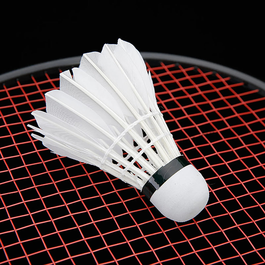 LED Light-Up Badminton Shuttlecocks 4 Pack – Goose Feather