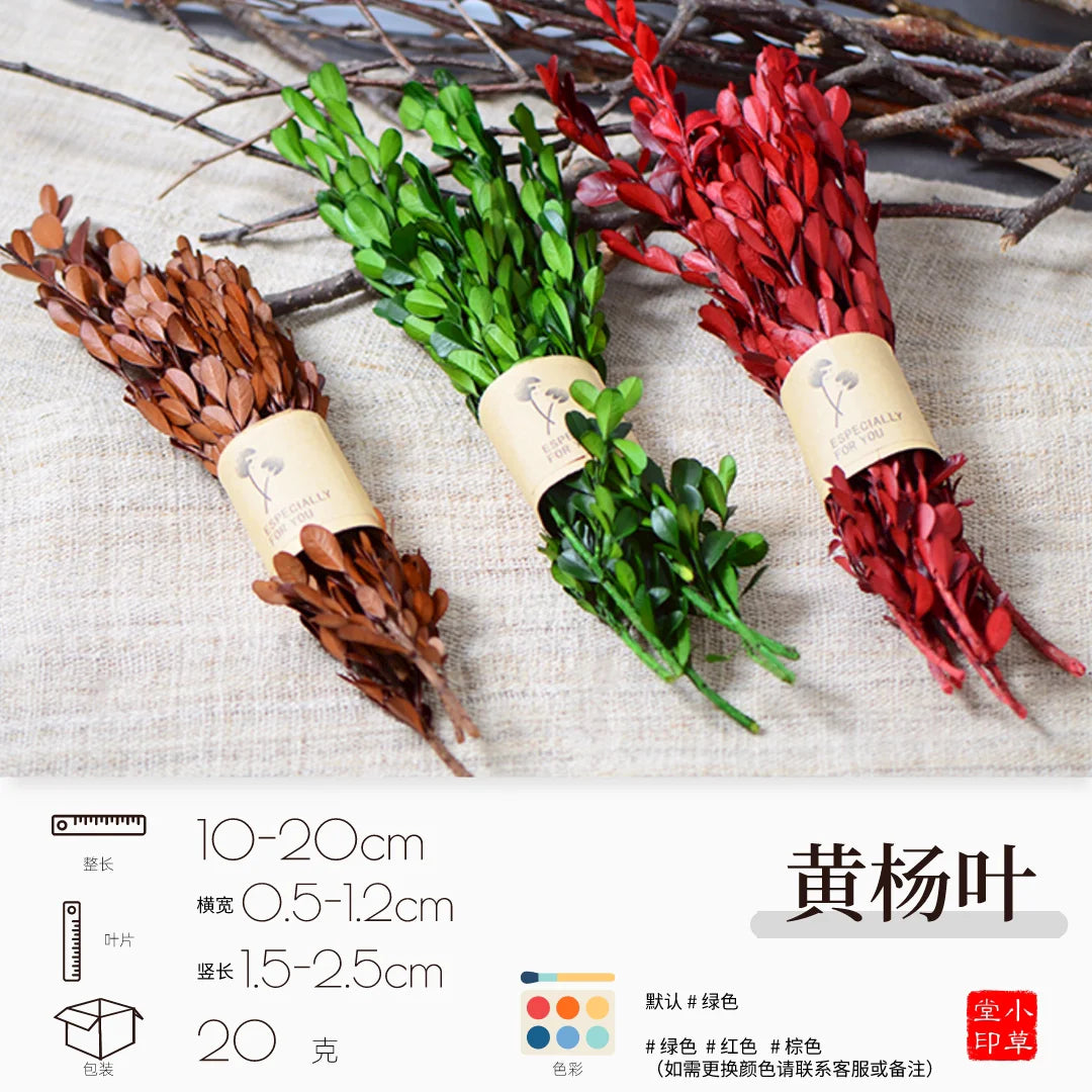 Dried Flowers, Fruits & Pine Cones DIY Natural Décor Kit
