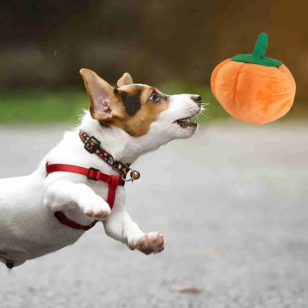 Pumpkin Squeaky Plush Dog Toy – Soft Interactive Pet Toy