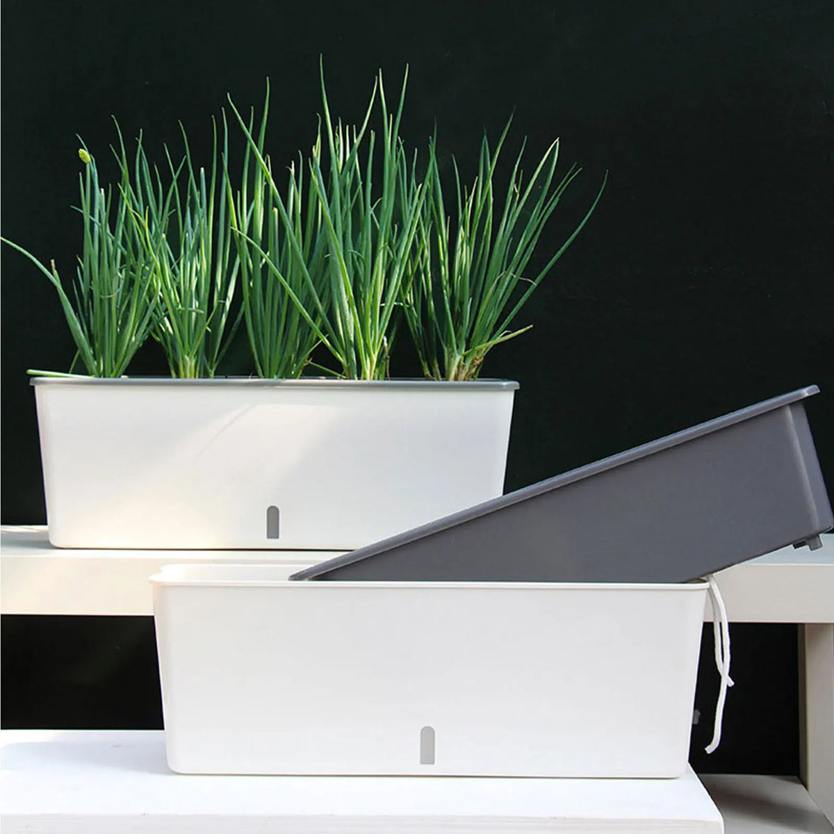 Self-Watering Planter Pot with Water Level Indicator