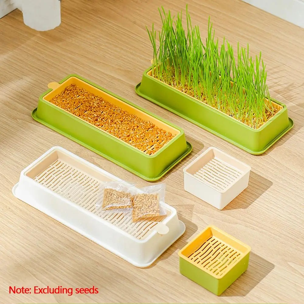 Cat Grass & Seed Sprouting Tray – Food-Grade PP Growing Tray