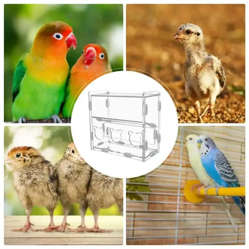 Clear Acrylic Bird Feeder Box – No-Mess Multi-Hole Dispenser