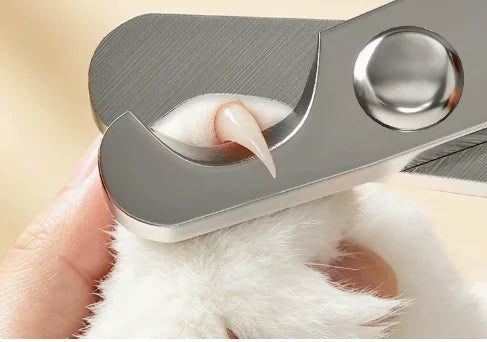 Professional Small Animal Nail Clippers – Stainless Steel Pet Trimmer