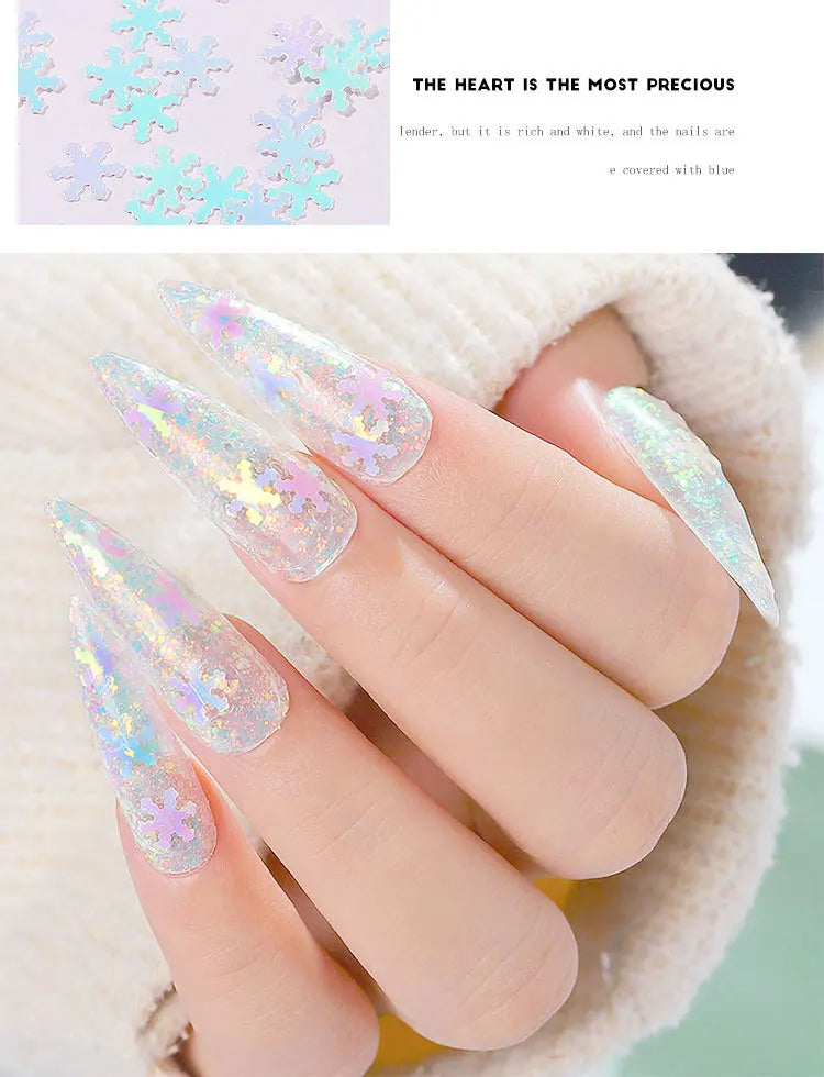 12-Grid Holographic Glitter Nail Art Sequins & Flakes Set