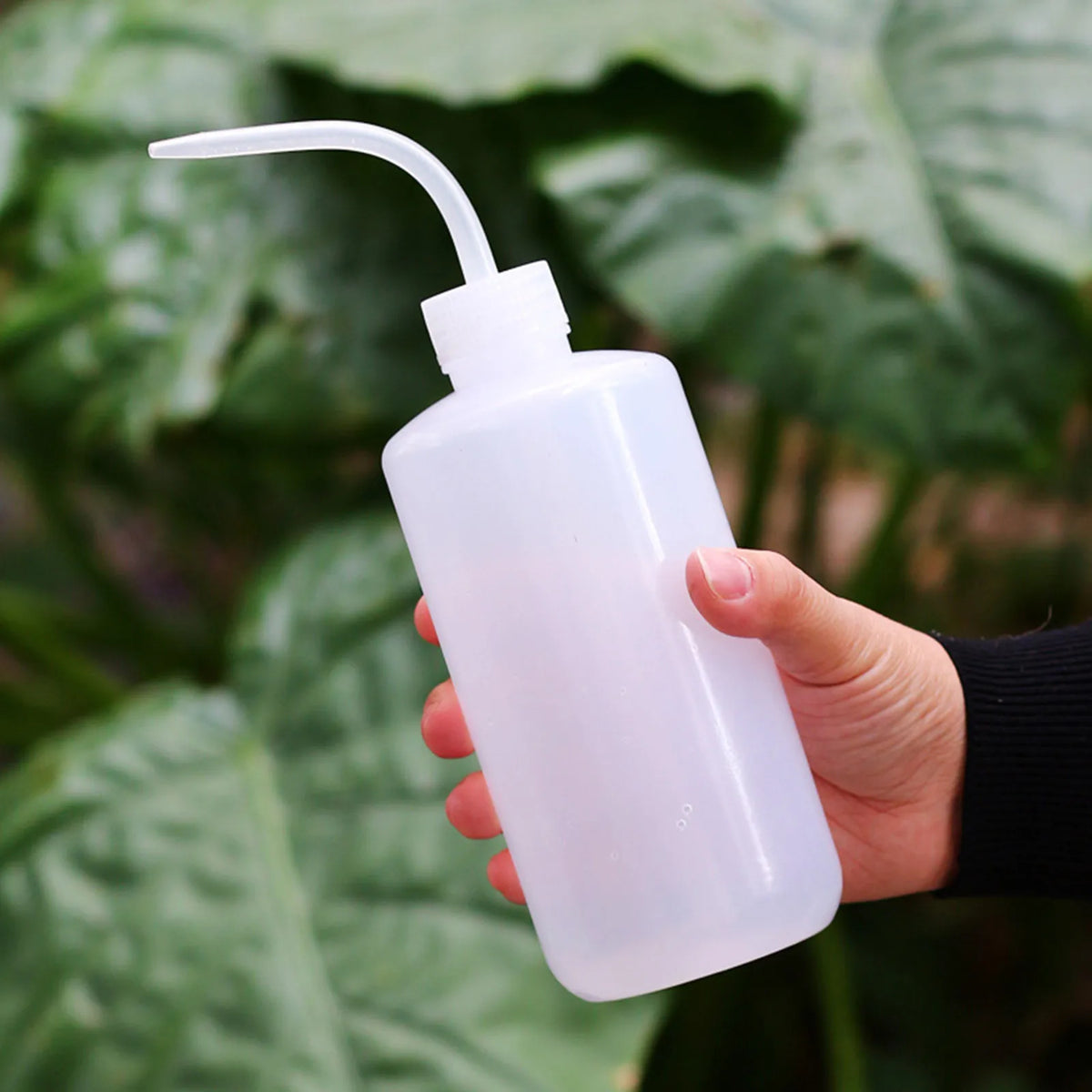 500ml Curved Spout Watering Can – Precision Succulent Bottle