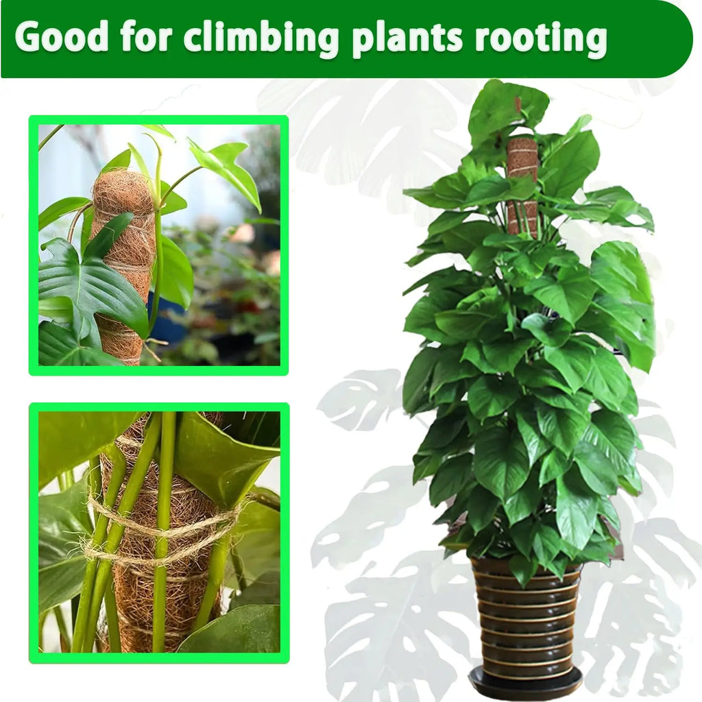 Stackable Coir Moss Poles for Monstera & Climbing Plants