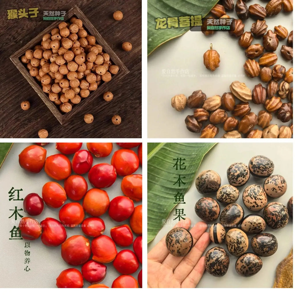 Natural Seed Buddha Bead Bracelet Handmade DIY Material Pack