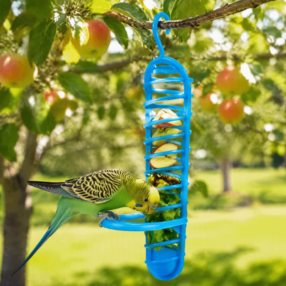 Parrot Foraging Basket Feeder with Perch & Hook – Blue