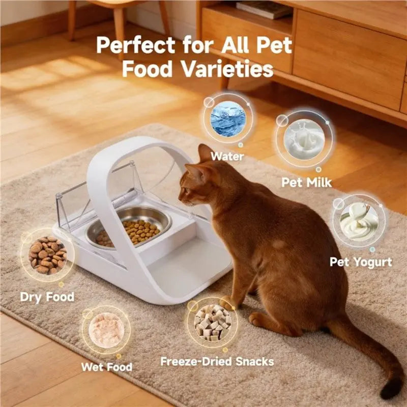 Stainless Steel RFID Cat Feeder Replacement Bowls – 6-Pack