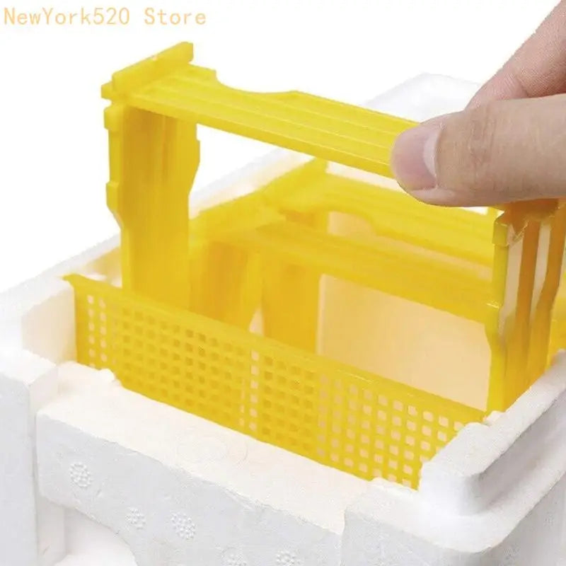 Foam & Plastic Queen Bee Mating Box – Beekeeping Tool