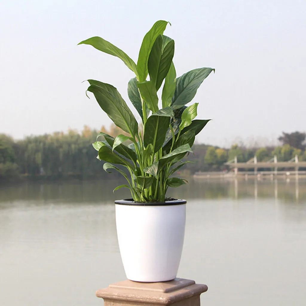 Self-Watering Planter Pot with Wick System – 5 Sizes