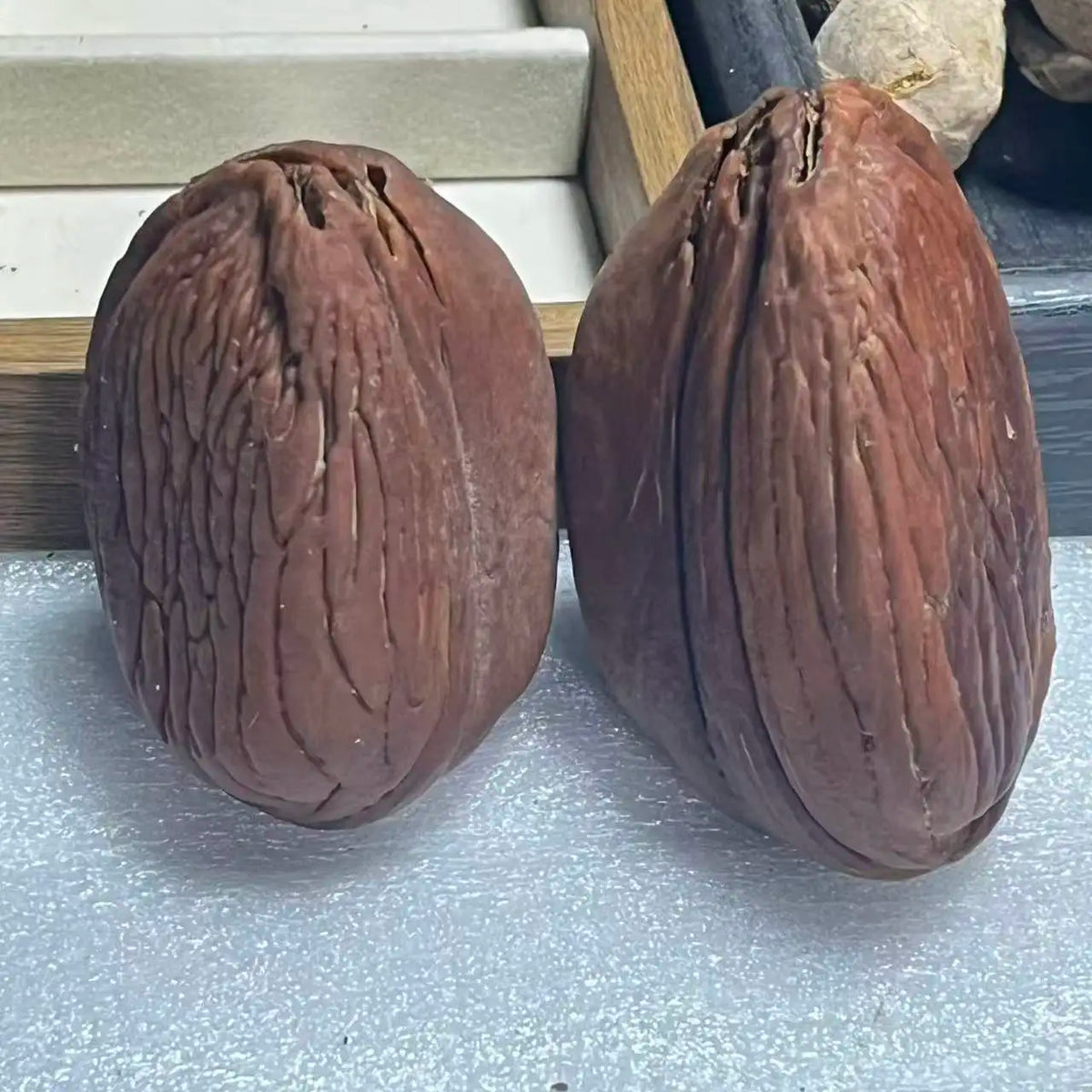 Yunnan Wild Fruit Plant Specimen Ornament – Handmade Décor