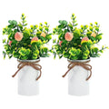 2PCS Artificial Peach Fruit Potted Bonsai Plants – 11" Tabletop