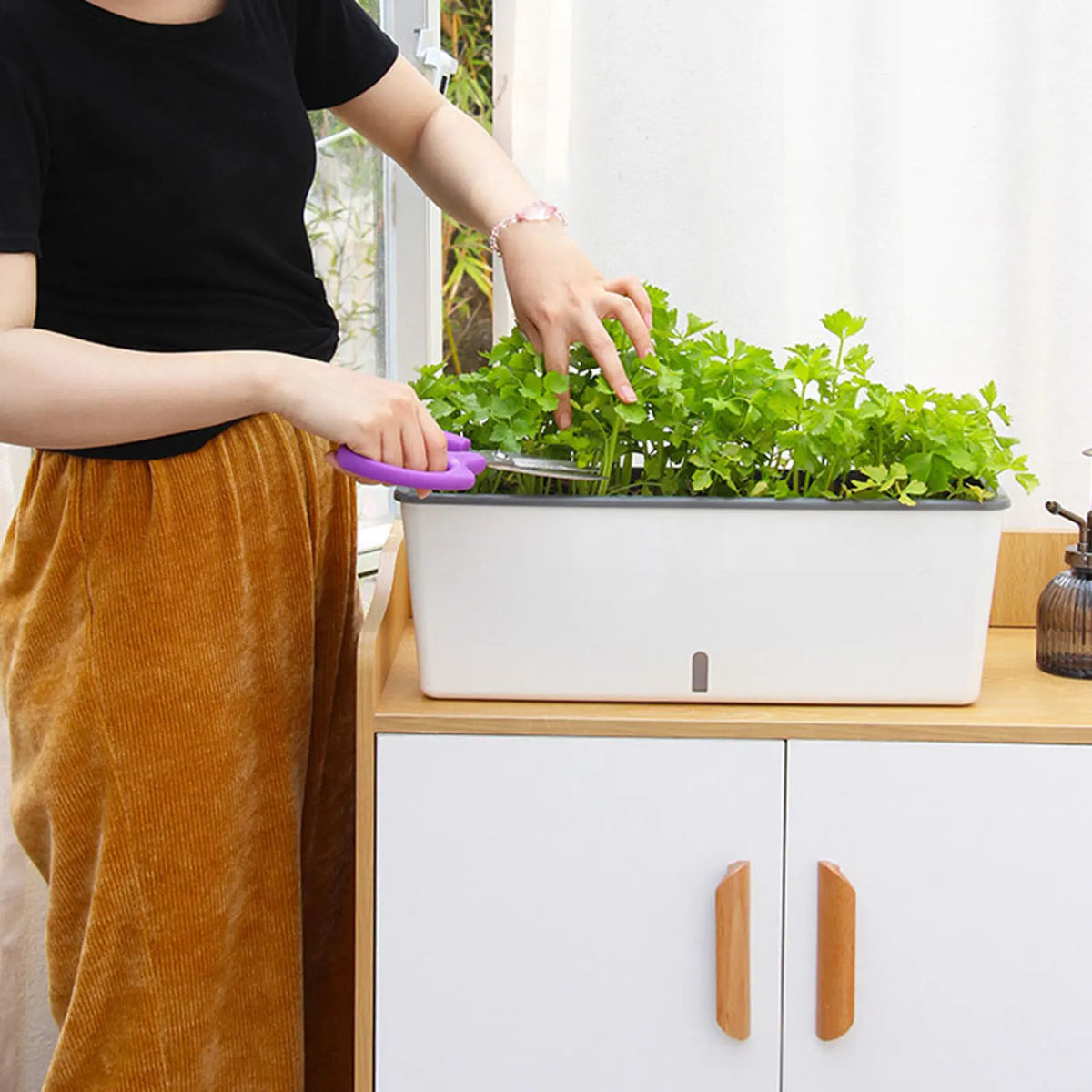 Self-Watering Planter Pot with Water Level Indicator