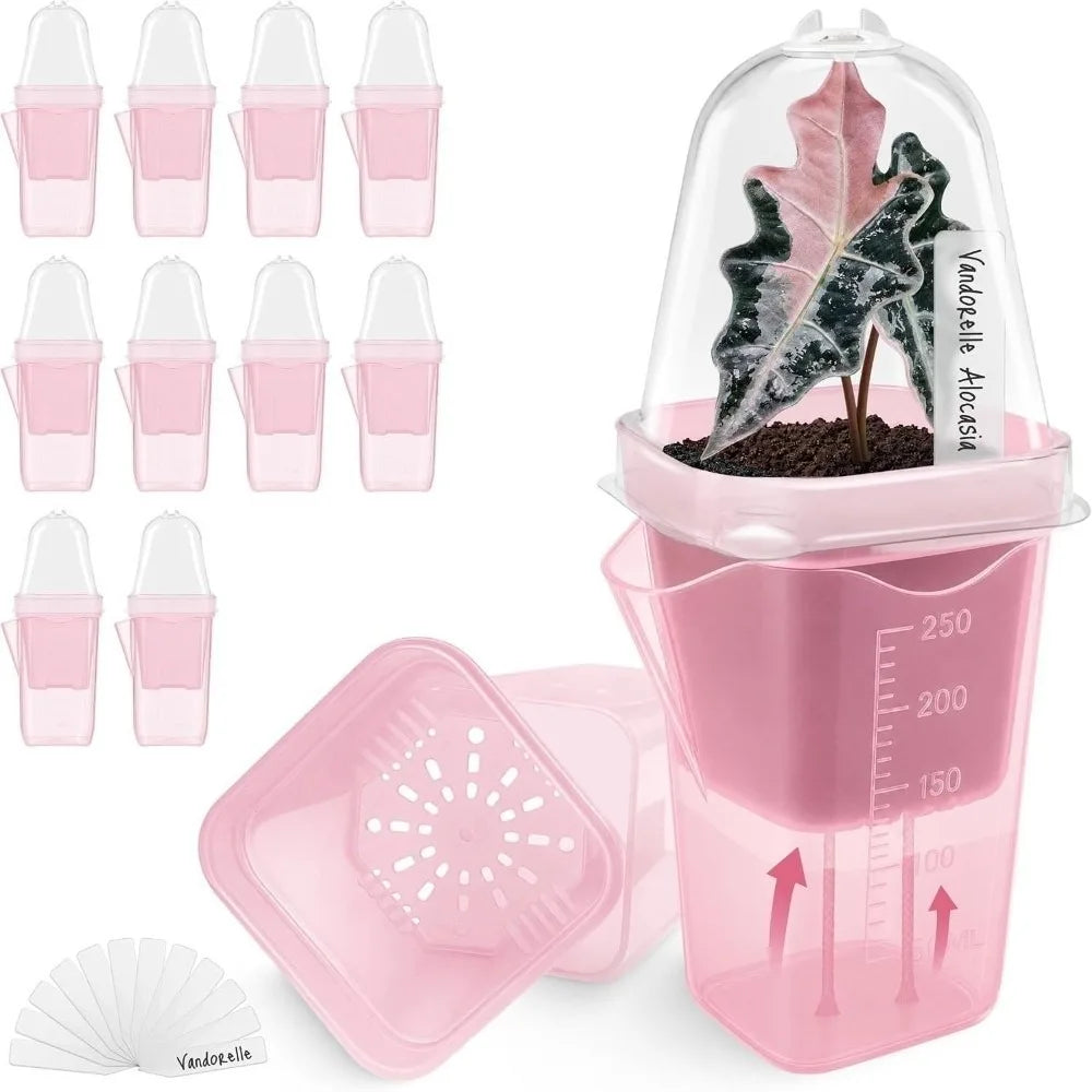 Self-Watering Transparent Nursery Planter – Double-Layer Pot