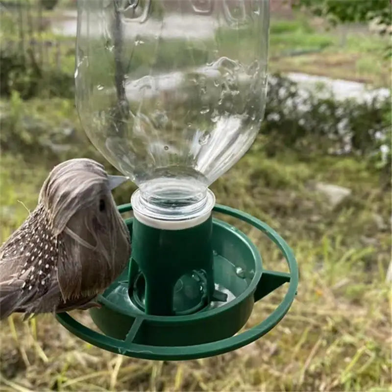 Automatic Hanging Bird Feeder – Parrot & Pigeon Plastic Bowl