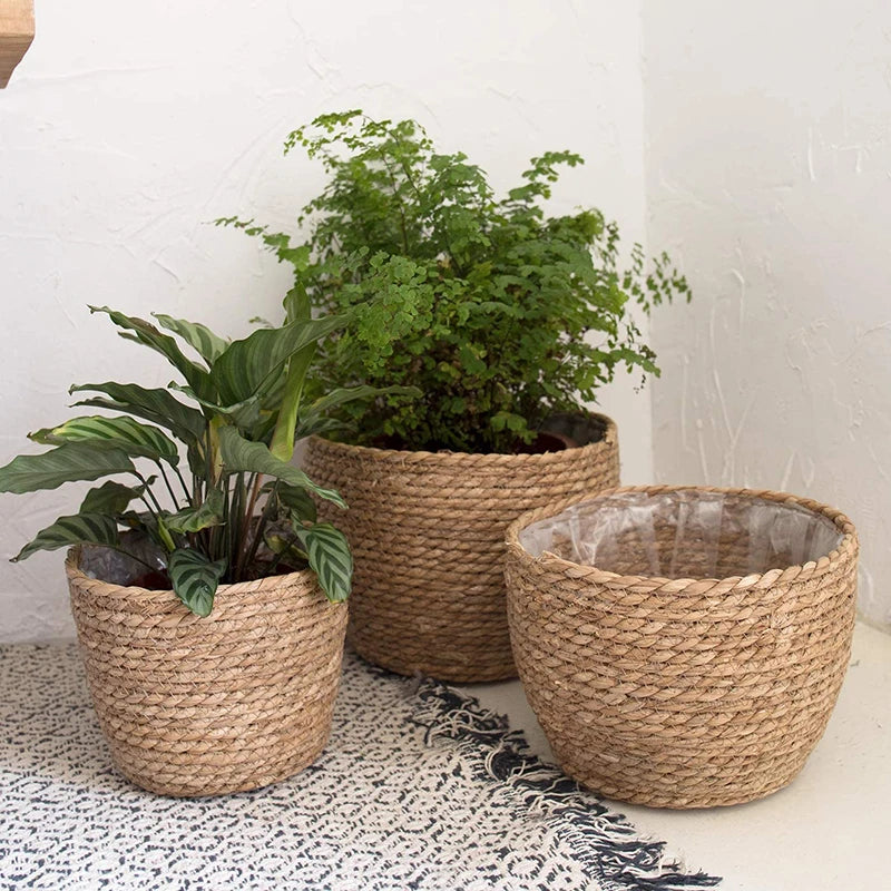 Seagrass Planter Basket – Hand Woven Plant Pot Cover Set