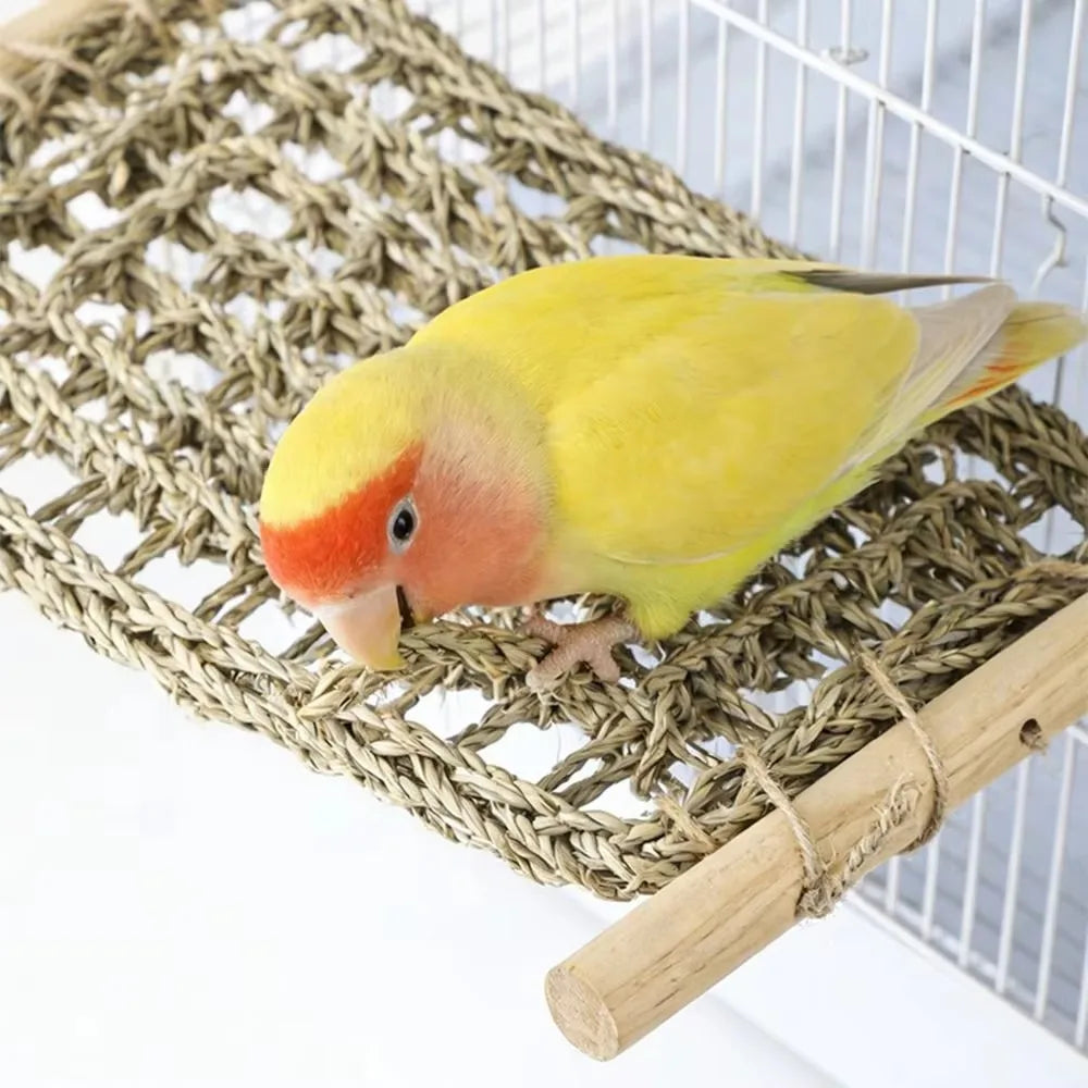 Hand Woven Parrot Hammock Toy – Chewable Bird Cage Swing Net