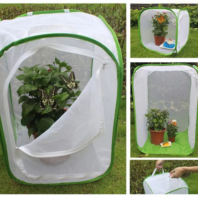 Foldable Insect Mesh Cage for Plants, Flowers & Butterflies