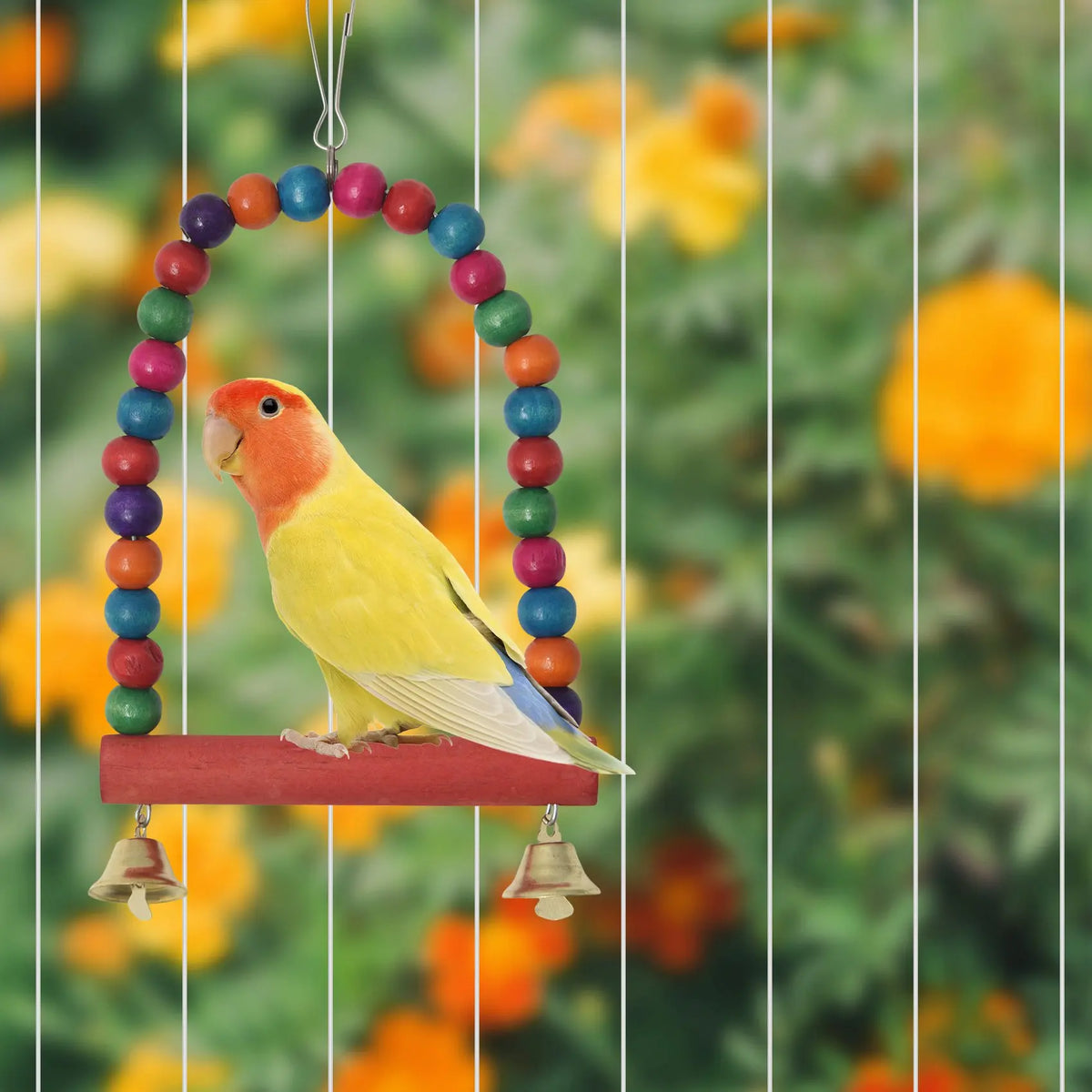 6-Pack Bird Swing Hammock & Climbing Ladder Set for Parrots