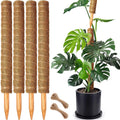 Stackable Coir Moss Poles for Monstera & Climbing Plants