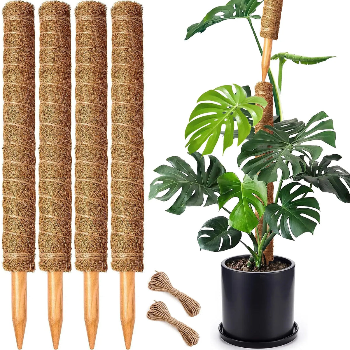 Stackable Coir Moss Poles for Monstera & Climbing Plants
