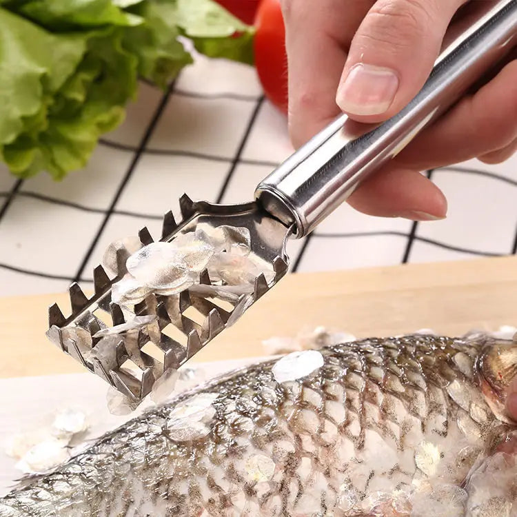 Stainless Steel Fish Scaler – Sawtooth Scale Remover Tool