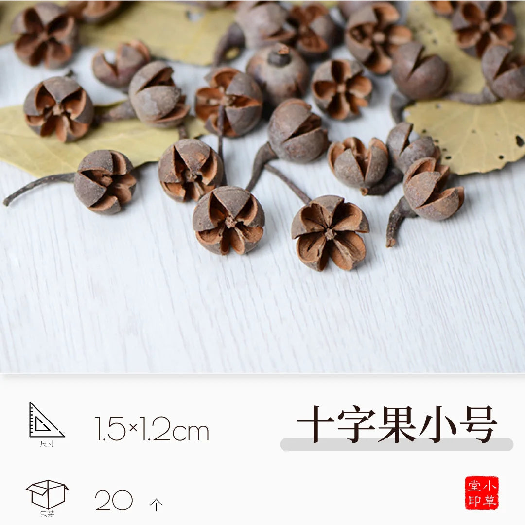 Dried Flowers, Fruits & Pine Cones DIY Natural Décor Kit