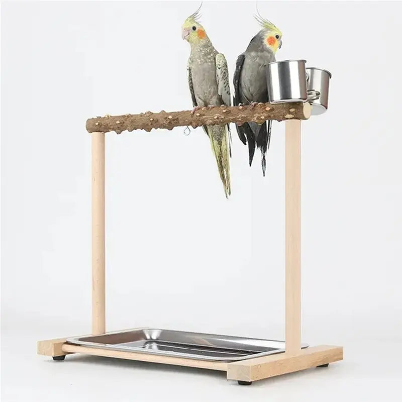 Parrot Bird Playground Stand – Swing, Ladder & Puzzle Rack