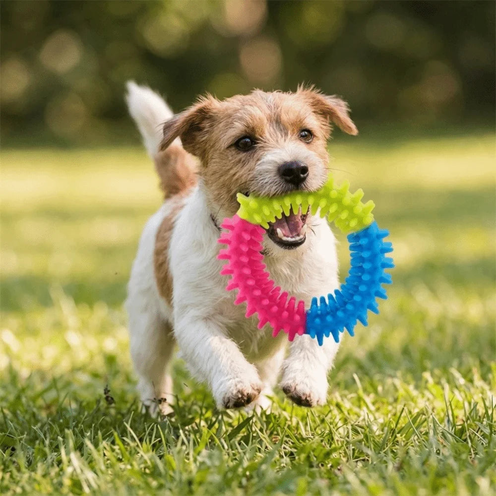 Spiked Ring TPR Dog Chew Toy – Interactive Molar Toy