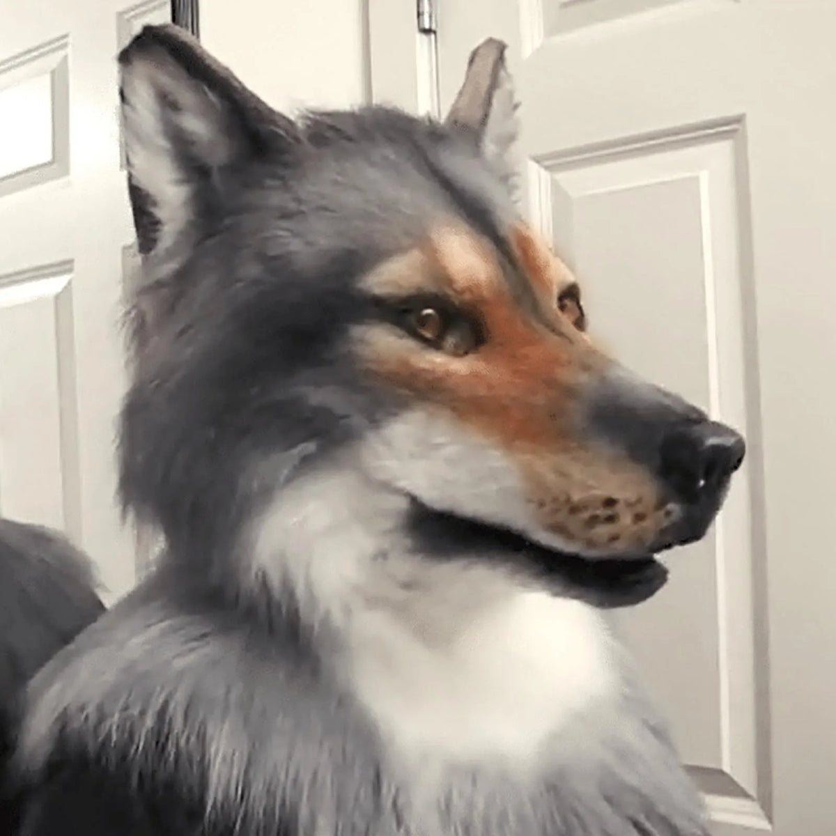 Wolf Costume Mask Headwear for Halloween Cosplay & Masquerade