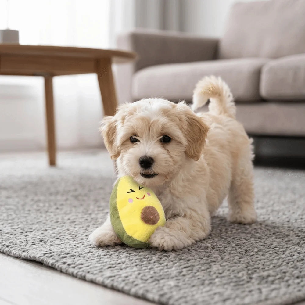 Avocado Plush Squeaky Dog Toy for Puppies & Small Dogs