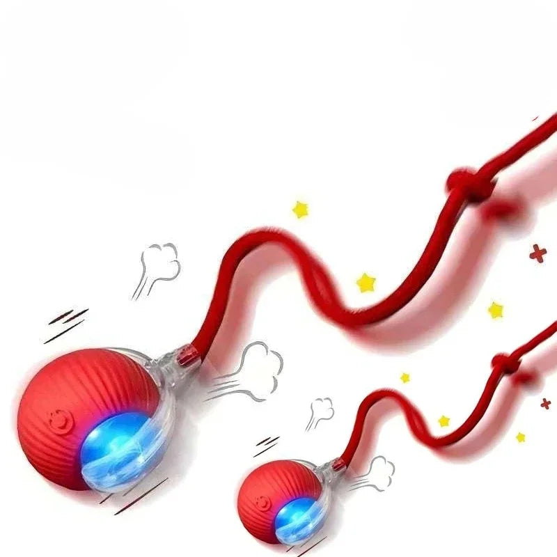 Automatic Rolling Ball Cat Toy – Rechargeable Interactive Pet Toy
