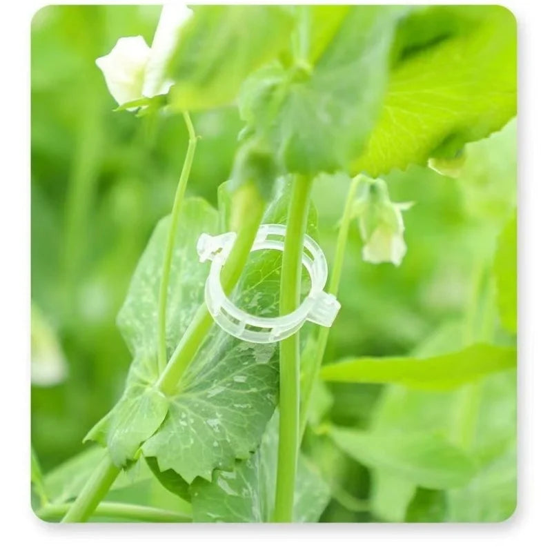 Reusable Plant Support Clips for Tomato & Climbing Vines