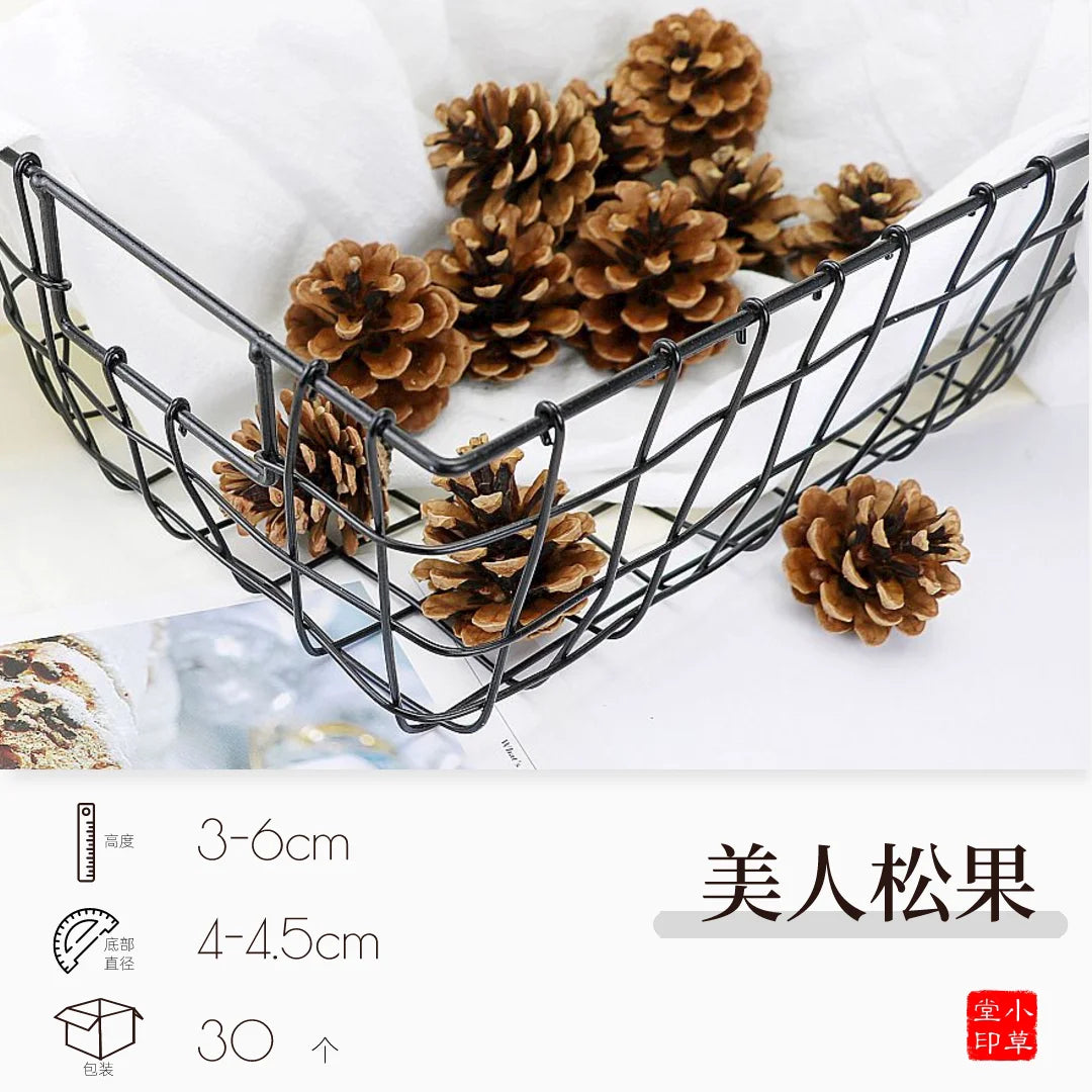 Dried Flowers, Fruits & Pine Cones DIY Natural Décor Kit